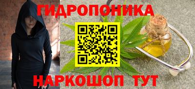 индика Пыть-Ях