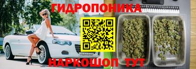 индика Пыть-Ях