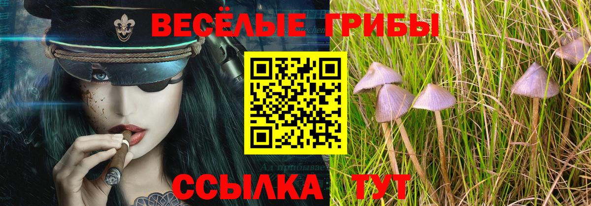 что такое наркотик  Псилоцибиновые грибы Magic Shrooms  Вход с VPN  Малгобек 