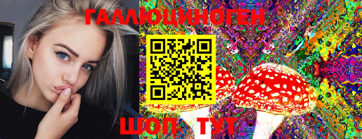 Псилоцибиновые грибы ЛСД Малгобек